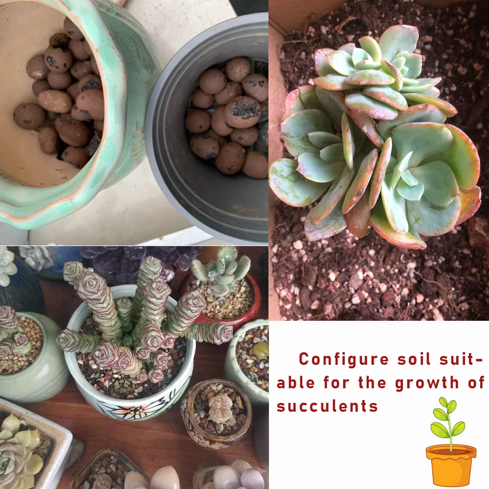 50g Ceramsite Gardening Ceramic granules Bonsai Decoration Materials Place The Bottom Of The Flowerpot Configure the soil - Image 4