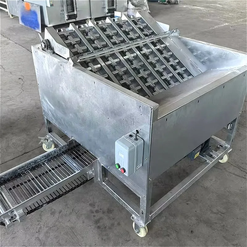 Green Walnut Peeling Machine Fresh Walnut Peeler Husk Remover Automatic Processing Customized