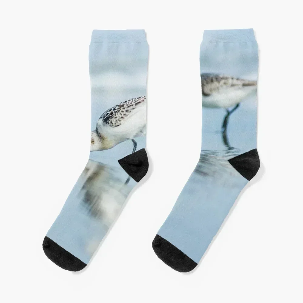 

Sandpiper Socks christmass gift hiphop designer brand sheer Men Socks Women's