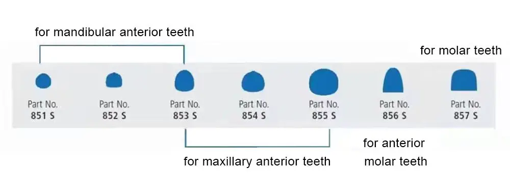 277pcs/set Dental Transparent Cervical Matrices Disposable Transparent Cervical Matrices for Filling Materials