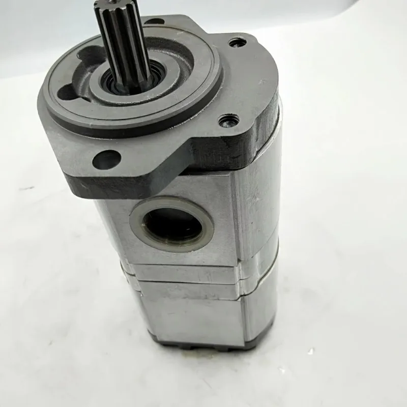 المجموعة 20 مضخة زيت التروس الهيدروليكية Casapa PLP20 PLP10 مضخة التروس PLP20.14D0-8 PLP10.6.3D0-30K2-LBB/BA-N-EL-FS