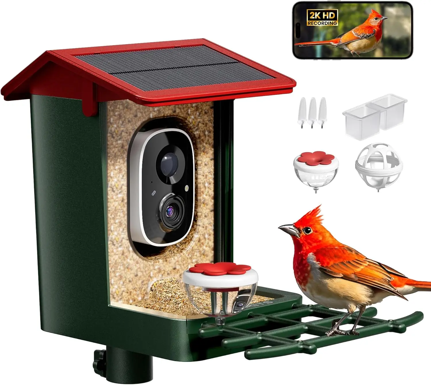 

Smart Bird Feeder with Camera, Solar Powered, 2K HD Video, AI Bird ID, Weatherproof Design for Easy Birdwatching