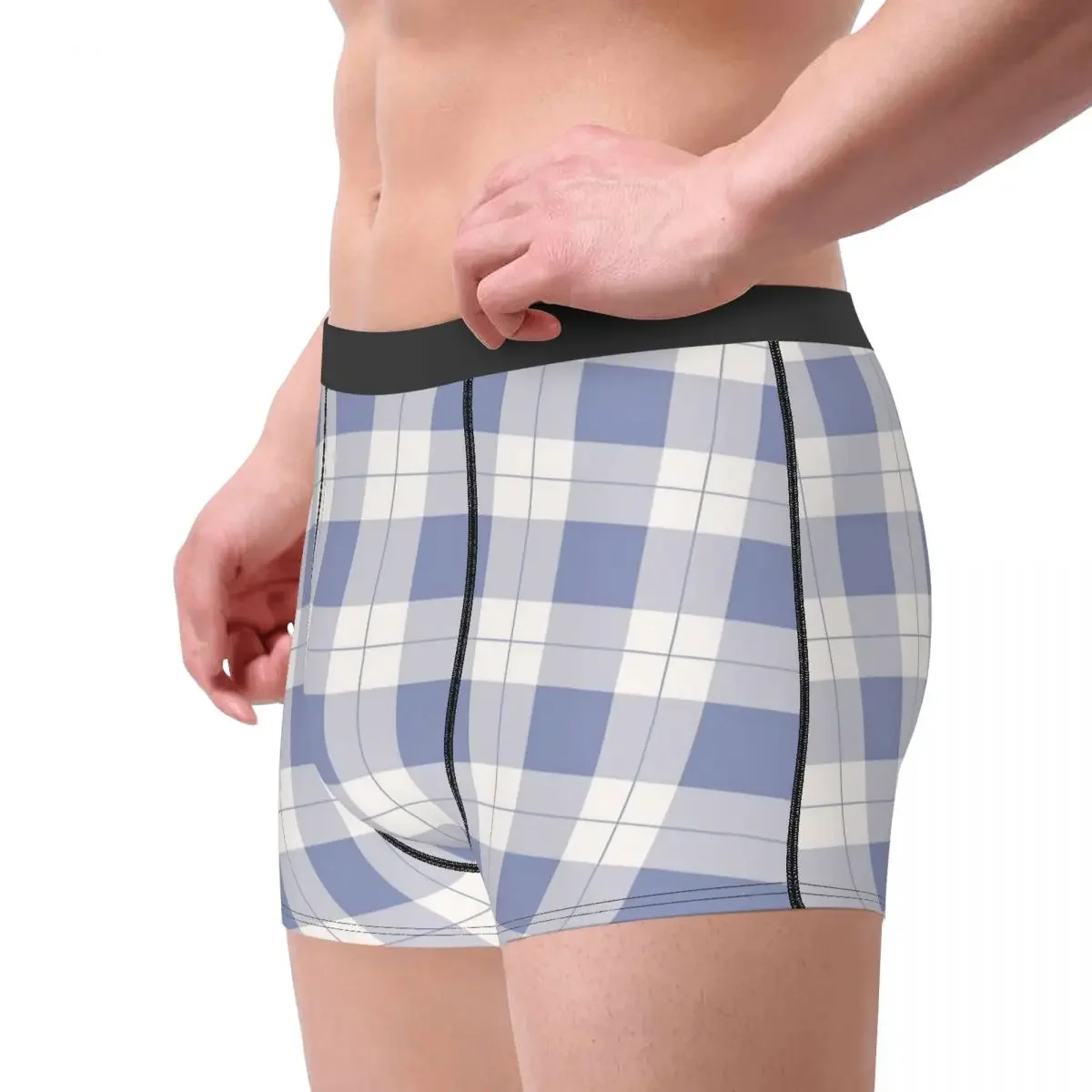 Farmhouse Cottage Blue And White Pattern Plaid Art Underpants Cotton Panties Male Underwear Comfortable Shorts Boxer Briefs