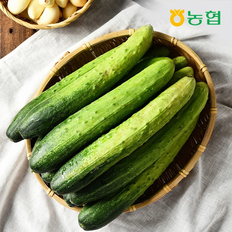 فجوة تعويذة مائة ألف 5 عبوات / 10 عبوات #1