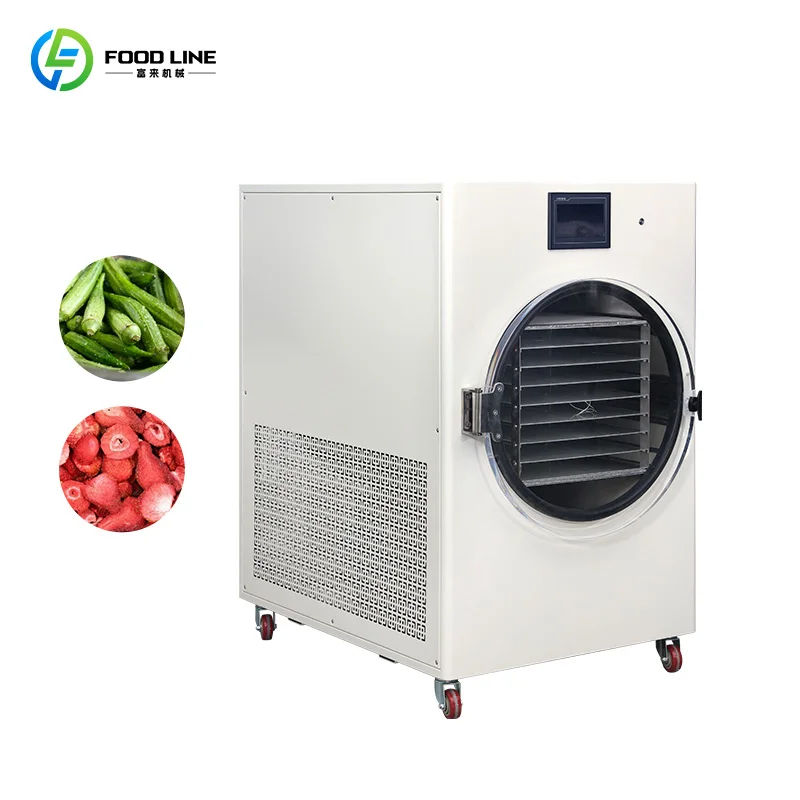 Customized Home Fruit Food Freeze Drying Machine Vacuum Freeze Dryer Machine Sublimation Food Vacuum Lyophilizer Freeze Dryer