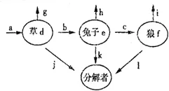 

For MJX 1/14 WLtoys 1/14 144001 144010 144002 1/12 124017 124019 124018 124010 RC Car 63mmMetal wheel hub tire