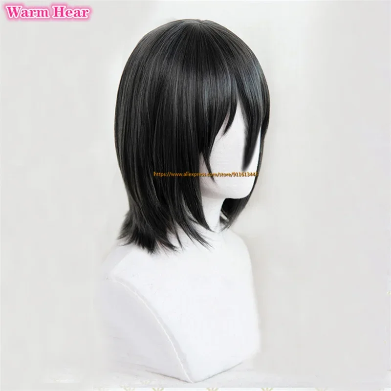 Mikasa Ackerman noir 35 cm court Bob Cosplay perruque Anime Cos résistant à la chaleur Cosplay perruque de cheveux + bonnet de perruque