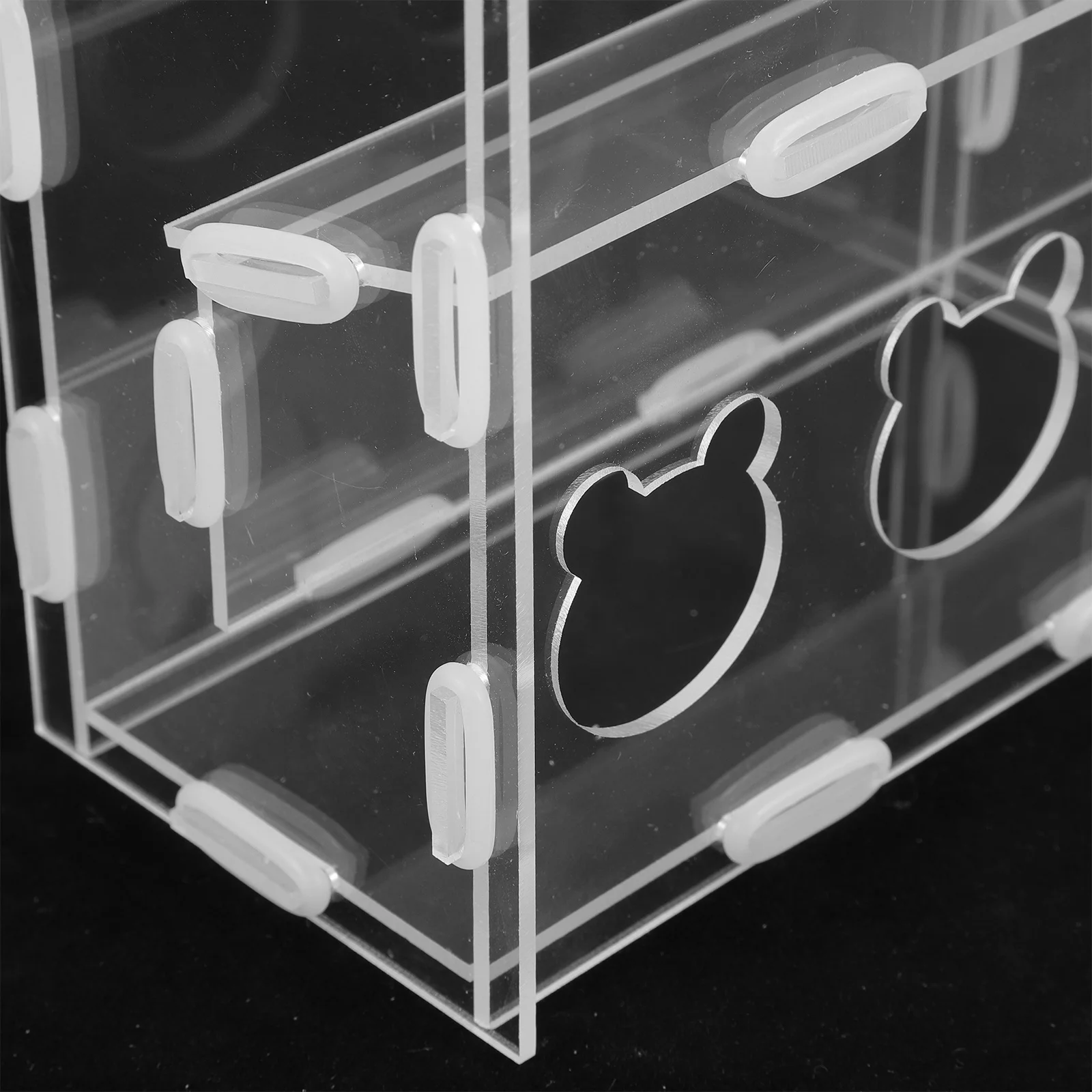 

Rutin Chicken Automatic Feeder Acrylic Transparent Feeding Bowl Multi-Use Poultry Food Container Parrot Feeder