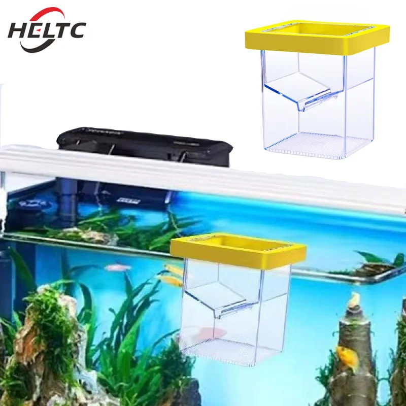 breeding box for fish Net Container so juvenile fish are acclimated but still protected from adult fish capetsma Fish Breeding Box, Acrylic