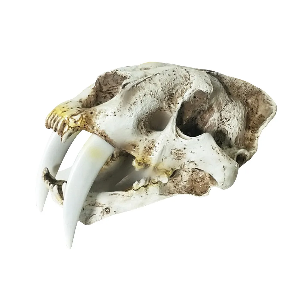 Tiger Skull Resin Statue for Halloween Decor – Durable Wear-Resistant Animal Skull Ornament