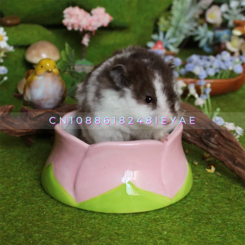 حديقة سلسلة السيراميك الهامستر منزل الهامستر حوض الطعام قفص الحيوانات الصغيرة المناظر الطبيعية لوازم الفئران الملحقات مخبأ الماوس