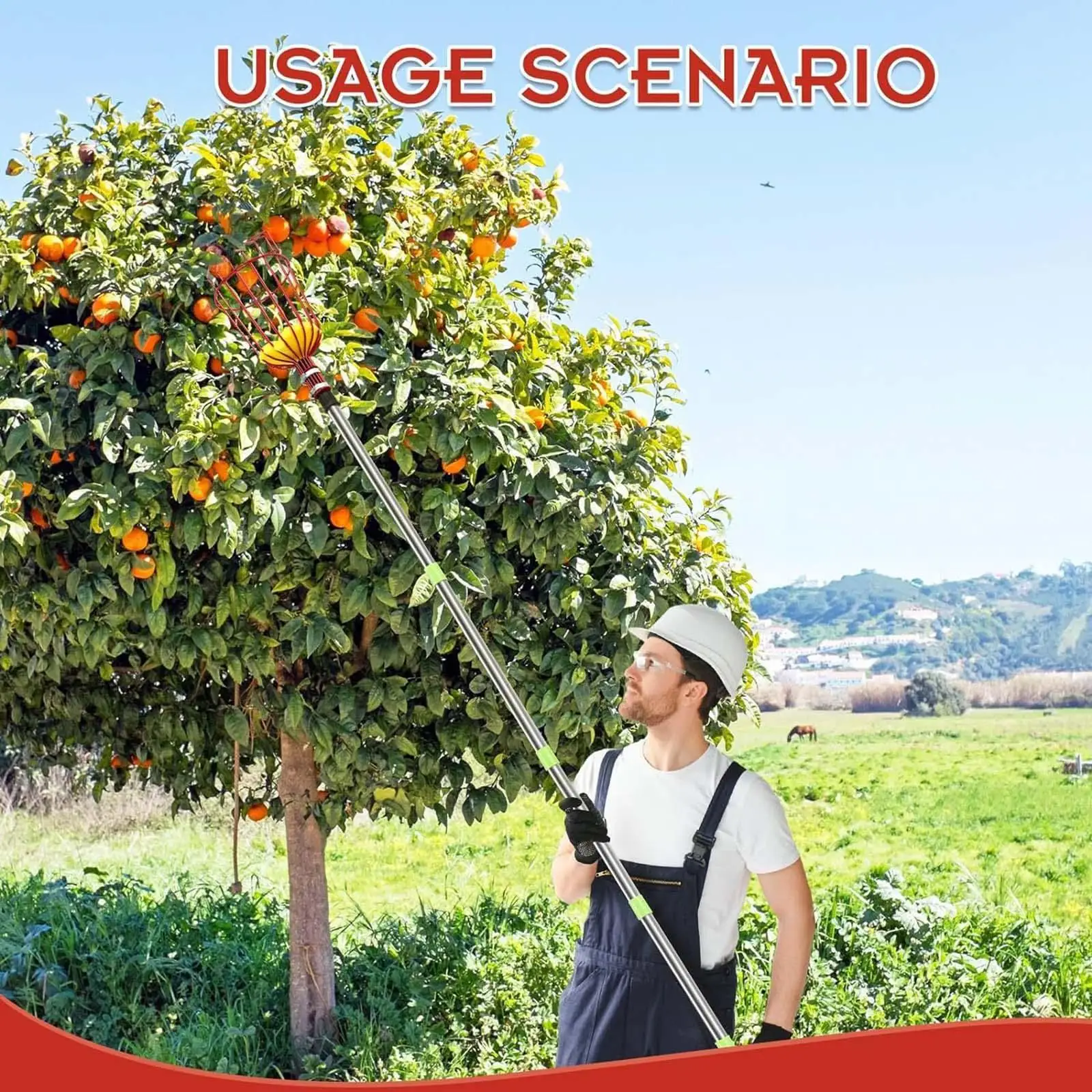 Fruit Picker with Basket Foam Pad Picking Equipment Fruit Grabber Tool Orange Picker Tool for Pomelo Avocado Fig Guavas Citrus
