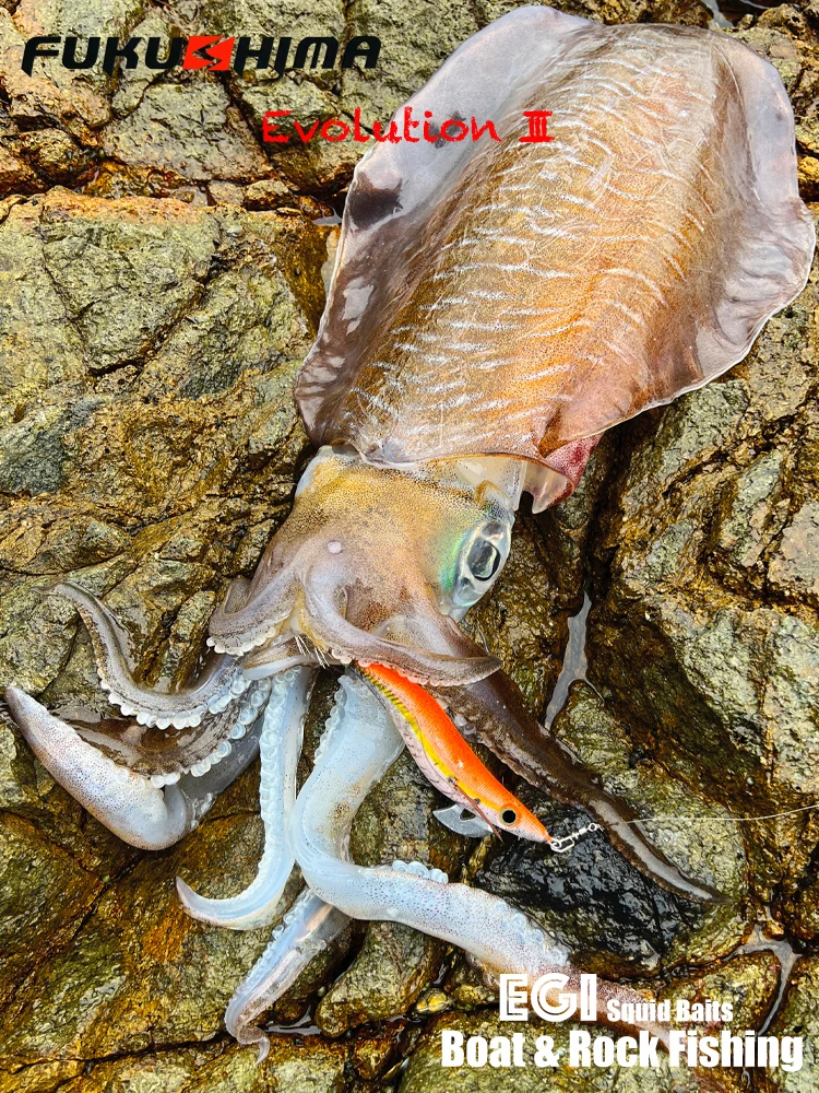 FUKUSHIMAZEECK3.5 SQUID JIG EVOLUTION EGI LURE FISHING WOOD SHRIMP BAIT FLASH BODY EYES & TAIL GLOW SHARP HOOKS 21GRAM EBI-SOUND – Detail 11