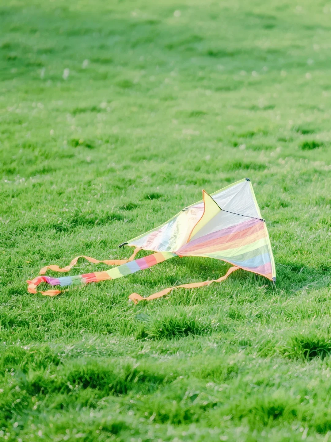 

36V 4400mAH 6600mAH 7800mAH Lithium ion Battery Pack for Carbon Fiber Electric Scooter Battery