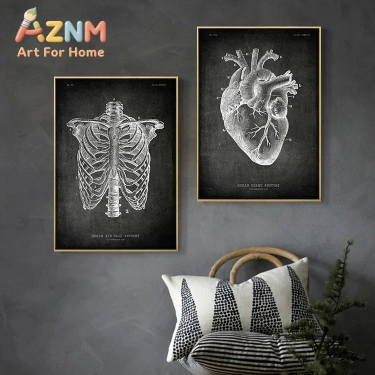 Vintage Chalkboard Anatomy Organ Poster Canvas Painting Human Body Brain Wrist Heart Medicine Wall Picture Room Home Decor