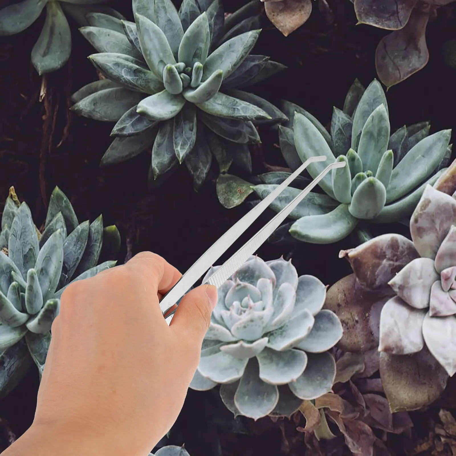 

4pcs Stainless Steel Tweezers Garden Hand Tools Heavy Duty Round Precision Tongs for Succulent Care Plant Bonsai Modeling Home