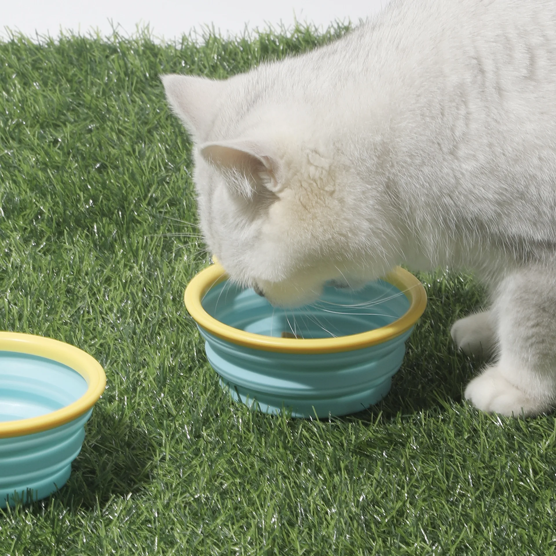 Tragbare Faltbare Haustier-Schüssel für Hunde und Katzen, Outdoor-Reise Wasser- und Futterschüssel, Zusammenklappbarer Tierfütterer 350ML – Detail 5