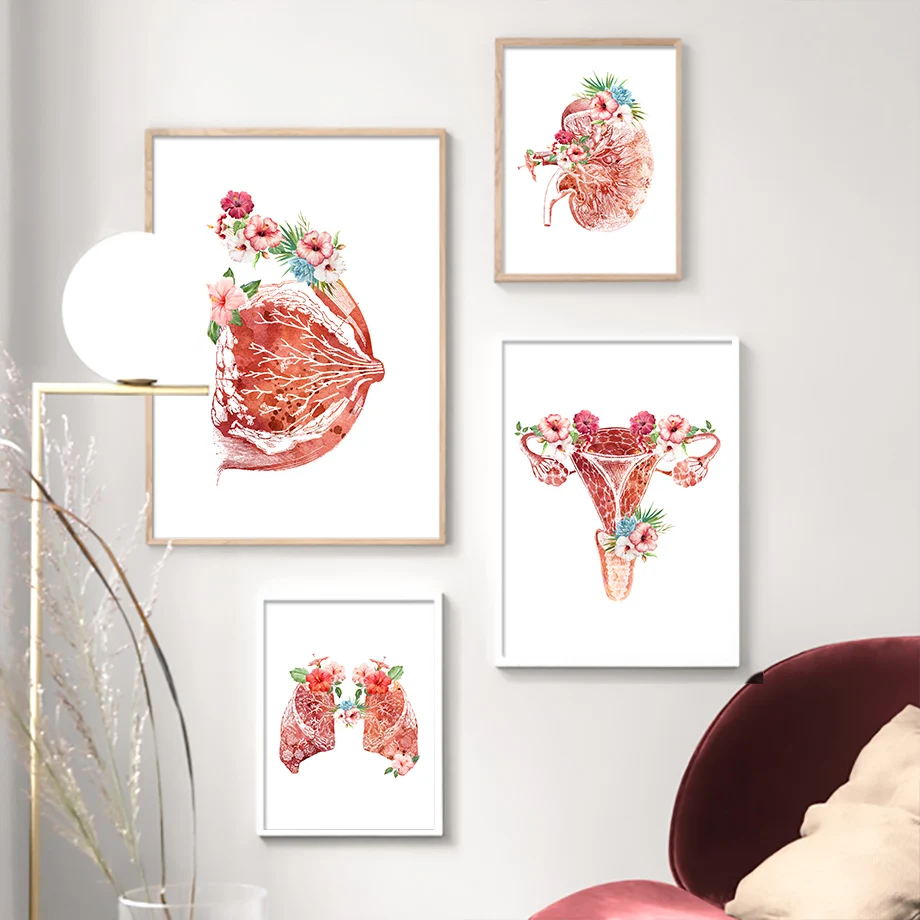 Flower Breast Uterus Kidney Liver Anatomy Wall Art Canvas Painting Nordic Posters And Prints Wall Pictures For Doctors Office