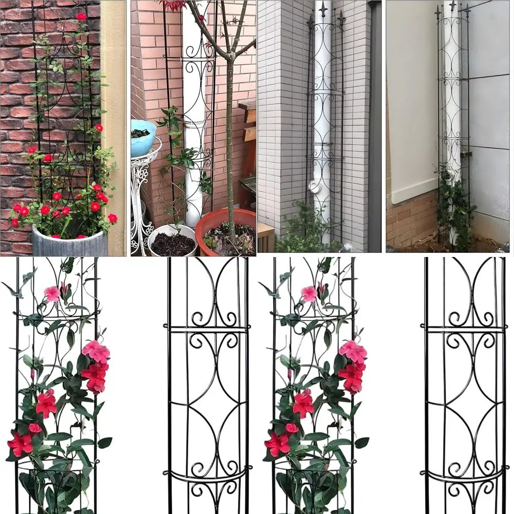 

Set of 2 Metal Garden Trellises, 72 High x 12 Wide, Suitable for Indoor & Outdoor Potted Plants and Climbing Plants