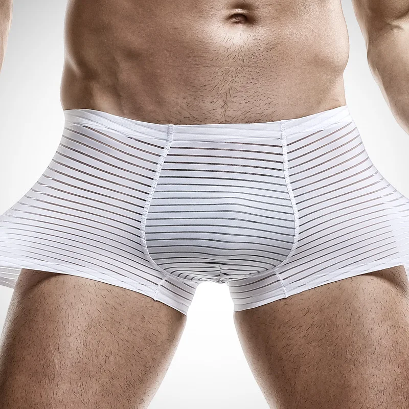 Men Boxer Shorts Ice Silk See Through Sheer Underwear Lingerie Gay Panties Seamless Slip Homme Breathable Underpants Trunks 3XL
