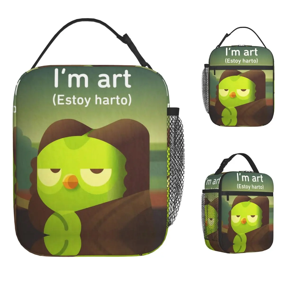 Duolingos Owl Duo L… - image