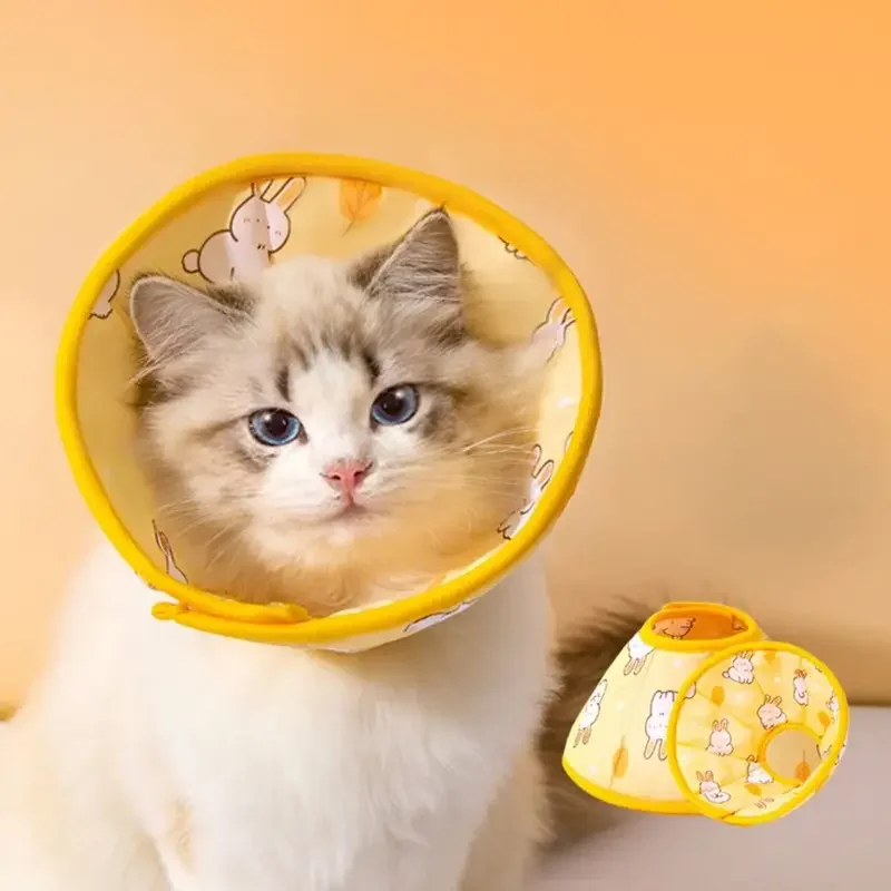 Neue Haustier Katzen und Hunde elisabethanisches Halsband Englisch kurze Katze Halsband Kopfbedeckung Katze Spray/Neuking und Beißter Halsband Anti Lic