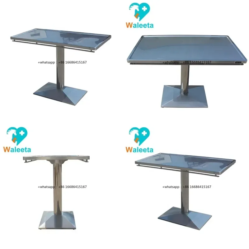 Veterinary Equipment WT-24 Stainless Steel New Type Column Pet Examination Treatment Table Veterinary Operation
