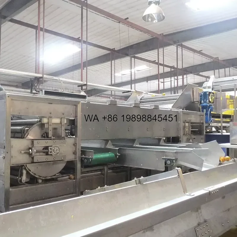 Wmwmnu for 500kg 380V Fruit Vegetables Grading Sorting 304 Stainless Steel Farm Industries Silver Grader Wooden Case