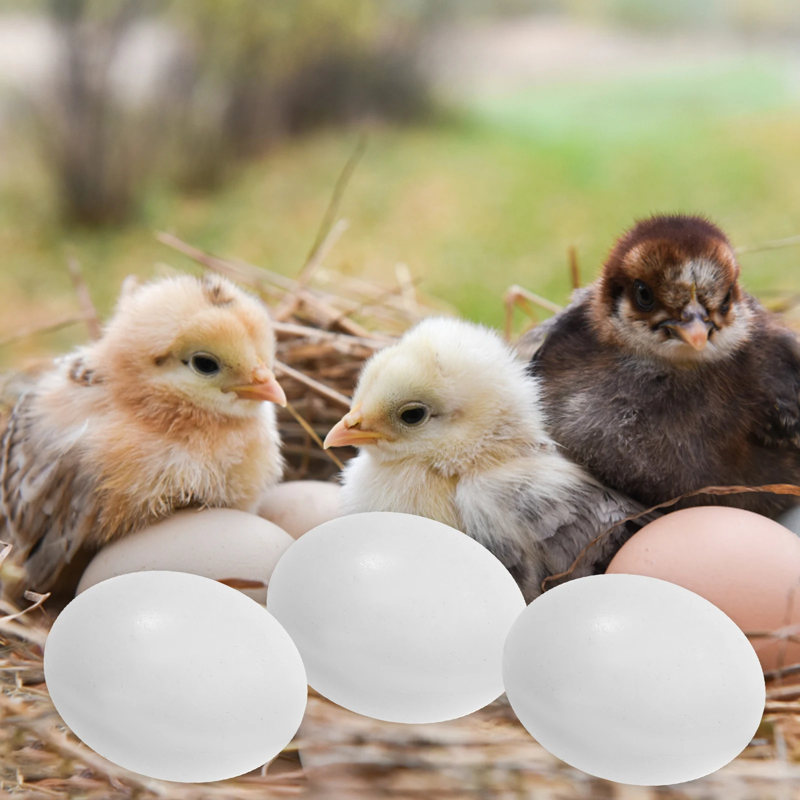 

20 Pcs Filled Eggs Poultry Artificial Fake Pigeon Toy Decorative Solid Simulation
