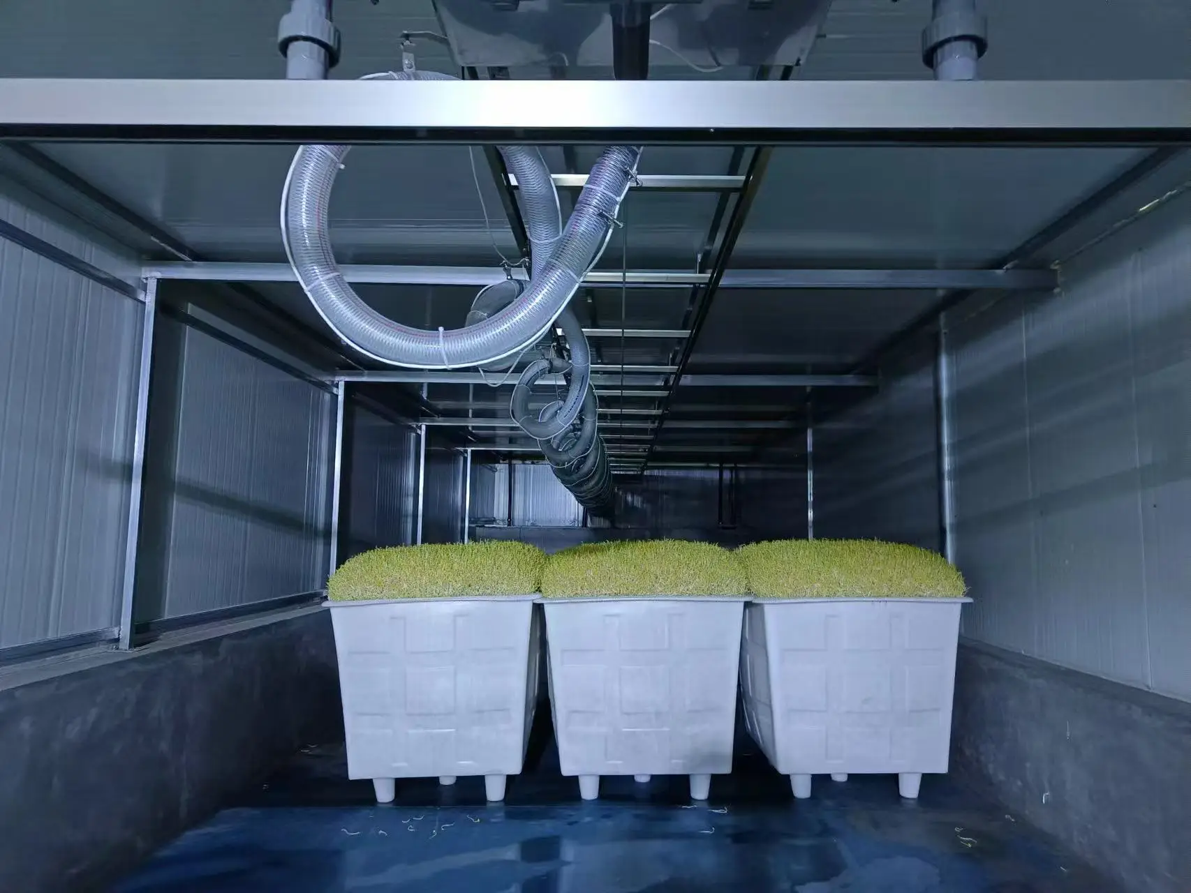 Automatic Sprout Incubation System    PLC Controlled Seed Germination Machine
