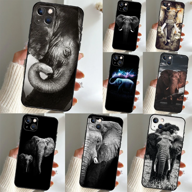 Wild Elephant Head …