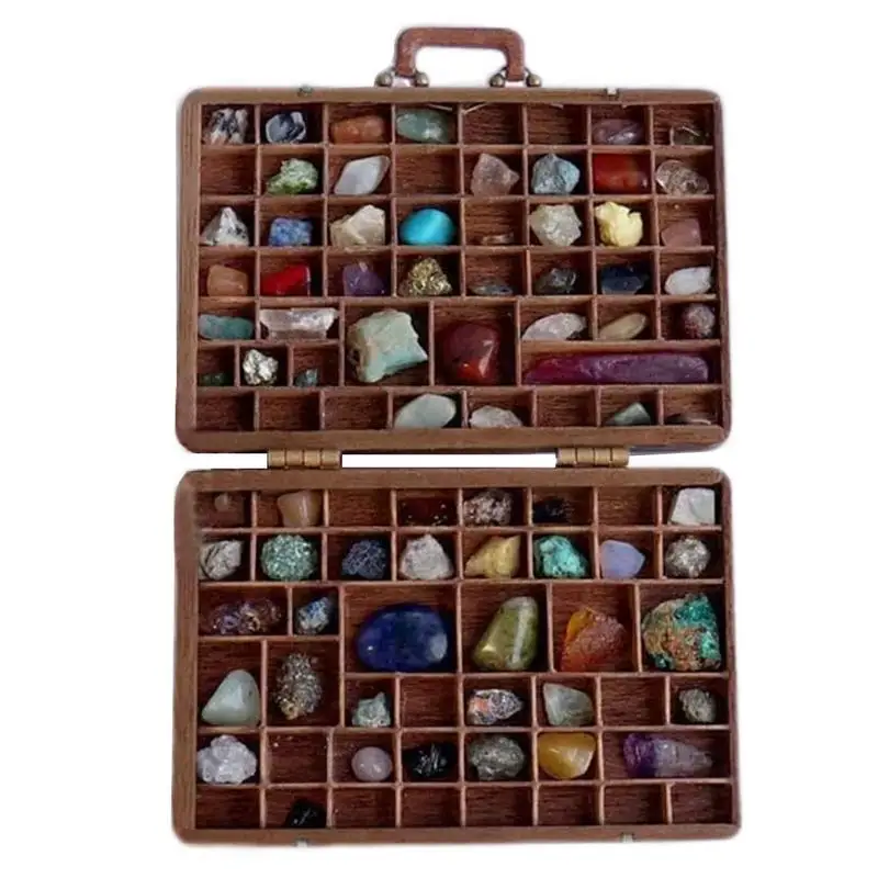 

Rock and Mineral Collection Kit Crystal Box Stone Collection Suitcase Outdoor Decorations Crystal Embellished