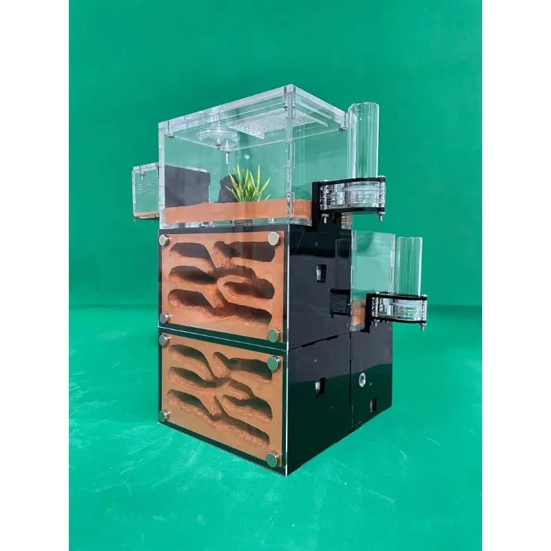 

Pet Ant Castle, Ant Nest, Ant Ant Castle Kingdom