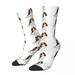 Cavalier King Charles Spaniel - Blenheim Socks Harajuku Super Soft Stockings All Season Long Socks for Man's Woman's Gifts