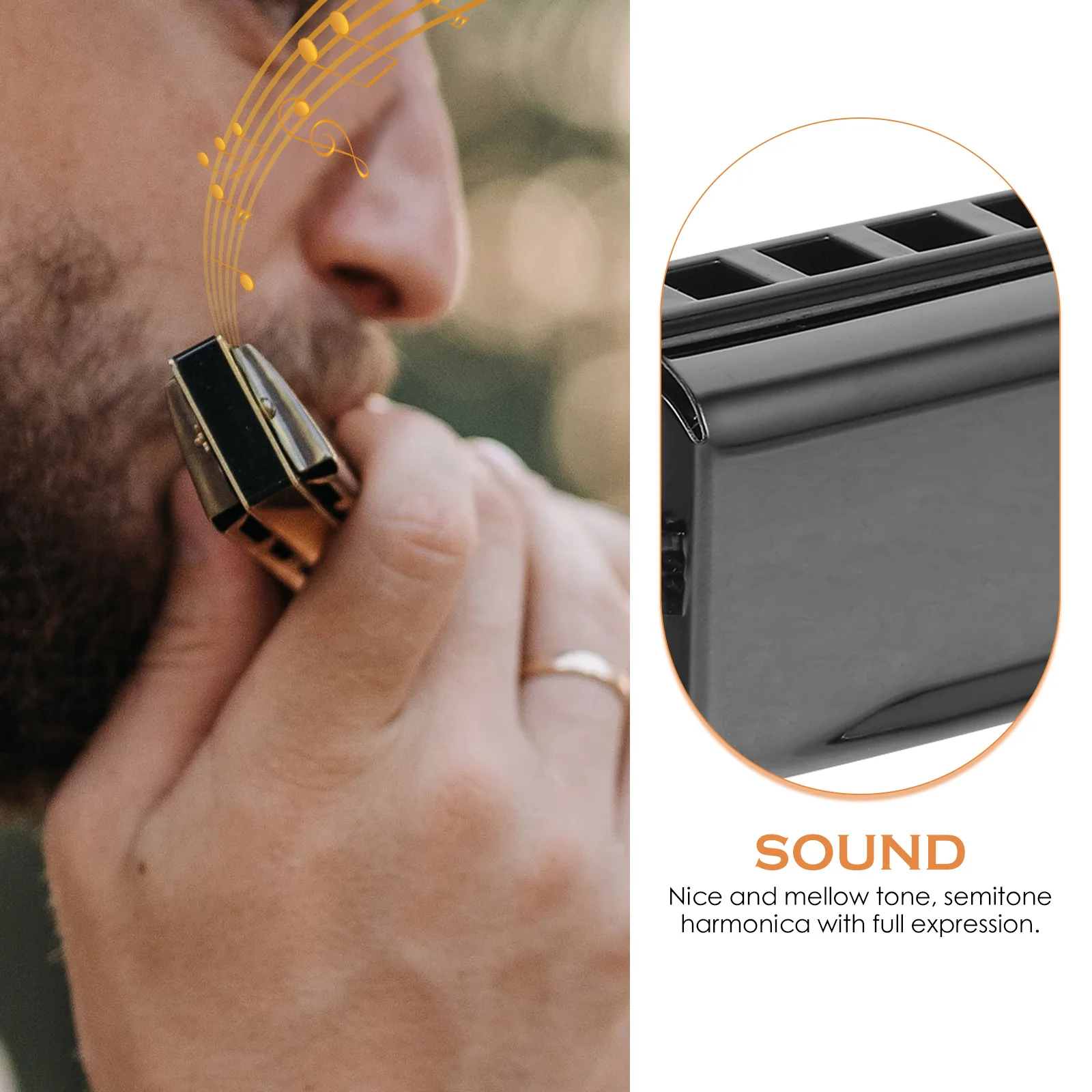 

Professional Harmonica For Beginners Music Instrument Responsive Tone Teaching Learning Students