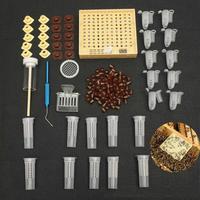 1set bee queen rearing king new plastic brown/green color cells cages room cups cell cage cup bees tools beekeepers Kit