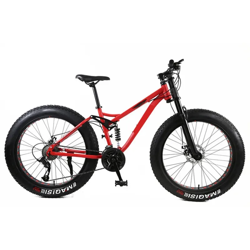 

Factory Hot Selling New Den Steel Material Fatbike / Men or Women Full Suspension Fat Bike