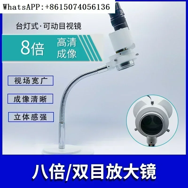 Microscope loupe d-ental technicien oral 8x 10x oculaire objectif lentille matériel moule entretien