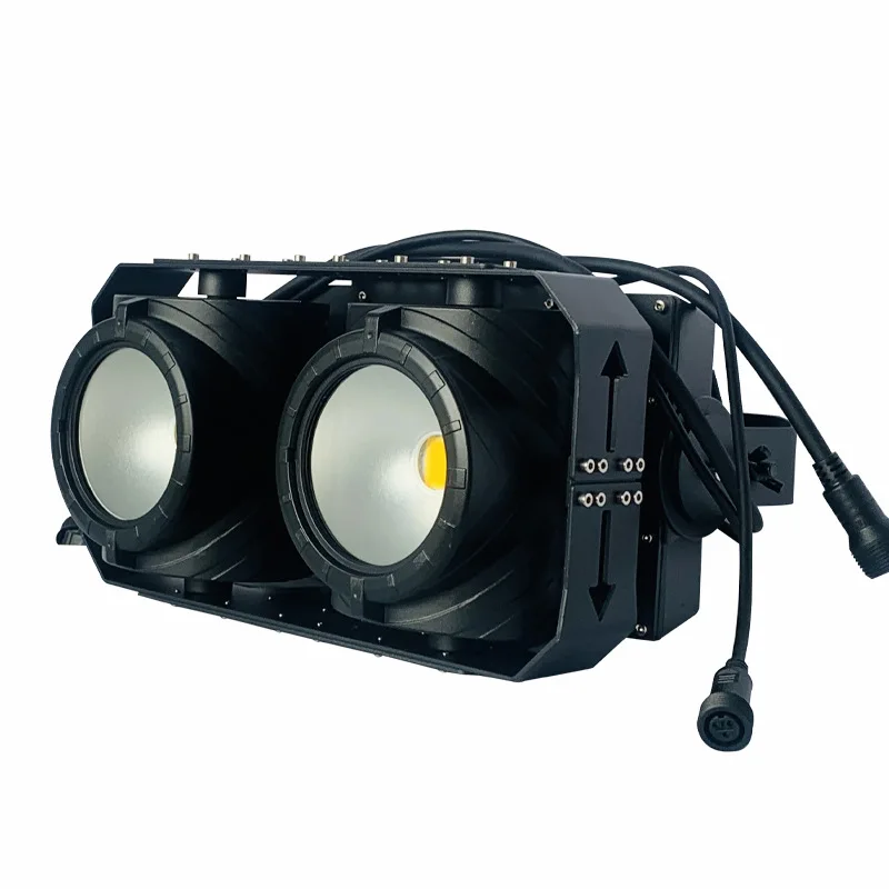 2 عيون 100 واط LEDcob مقاوم للماء ضوء الجمهور دافئ أبيض لونين في الهواء الطلق تسليط الضوء على ضوء السطح الثقافي في الهواء الطلق والسياحة p