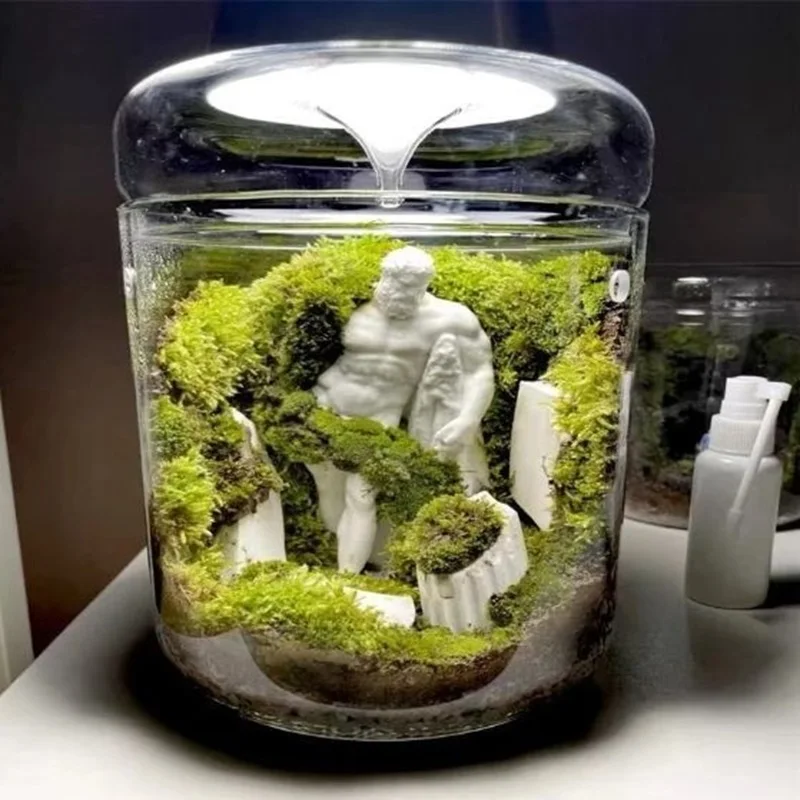Micro Landscape Glass Bottles Creativity Dew Collection Glass Vase Succulent Moss Landscape Glass Terrarium Home Decor
