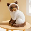 siamese cat sy