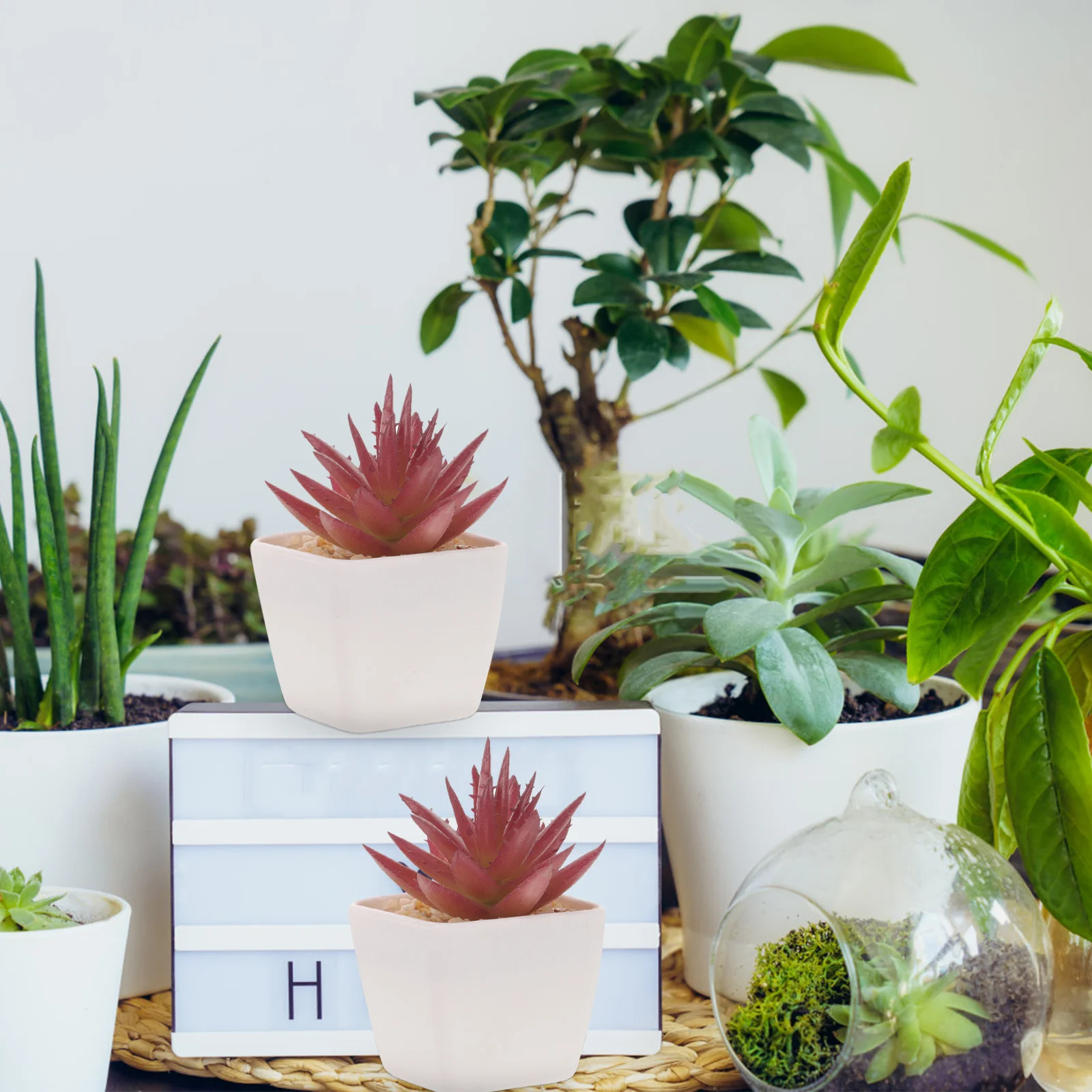 

10Pcs Plastic Mini Succulent Plants Artificial Tiny Potted Greenery Realistic Home Desk Decoration Mini Potted Plant