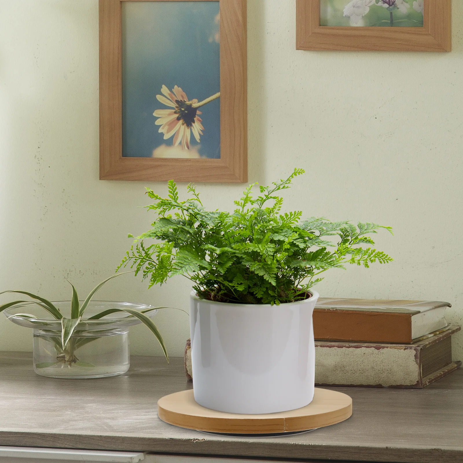 

Floral Trimming Turntable with Elegant Rotating Design for Precise Bouquet Shaping Bonsai Turntable Multi-Functional Rotatable