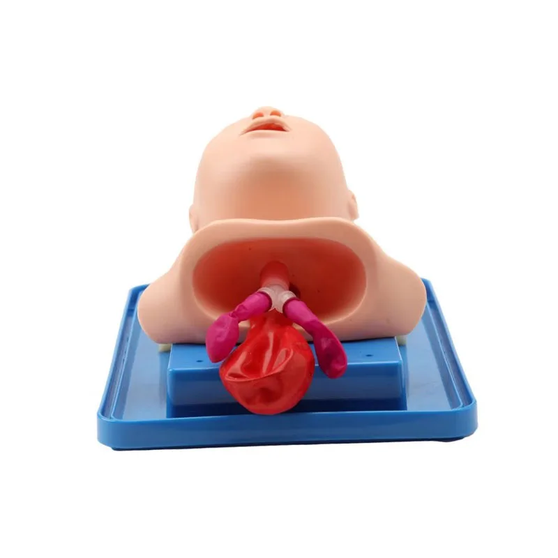 Neonatal Infant Tracheal Intubation Model Simulator Newborn Tracheal Intubation Training Mannequin