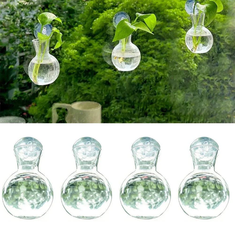 Water Propagation Bulb Vase with Suction Cups and Hooks for Vertical Window Display and Root Development Tracking of Cuttings