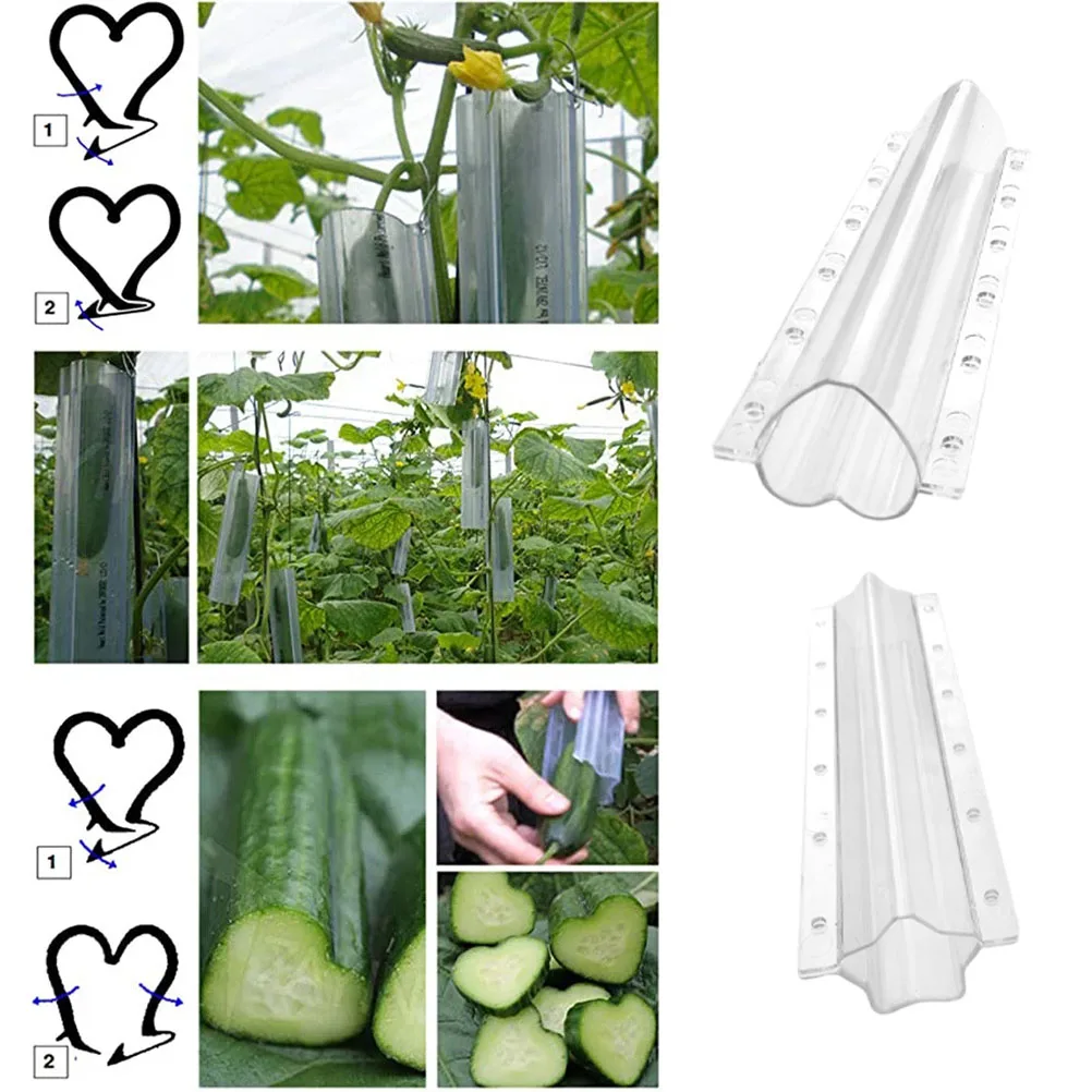 

2Pcs Cucumber Shaping Molds Five Pointed Star Shape Fruit Growth Shaping mold Vegetable Growth Forming Mould Planting Accessory