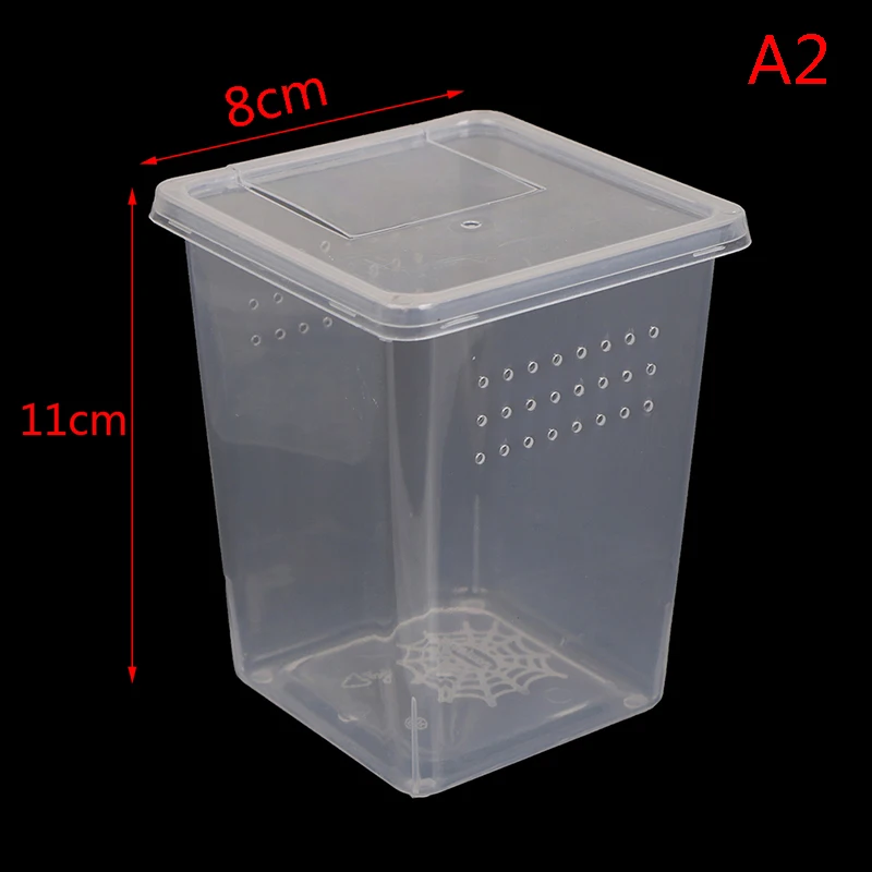 1pc High Quality Transparent Plastic Insect Spider Habitat Feeding Box Case Container Tank Transport Case