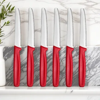 Stainless Steel Serrated Steak Knives 1