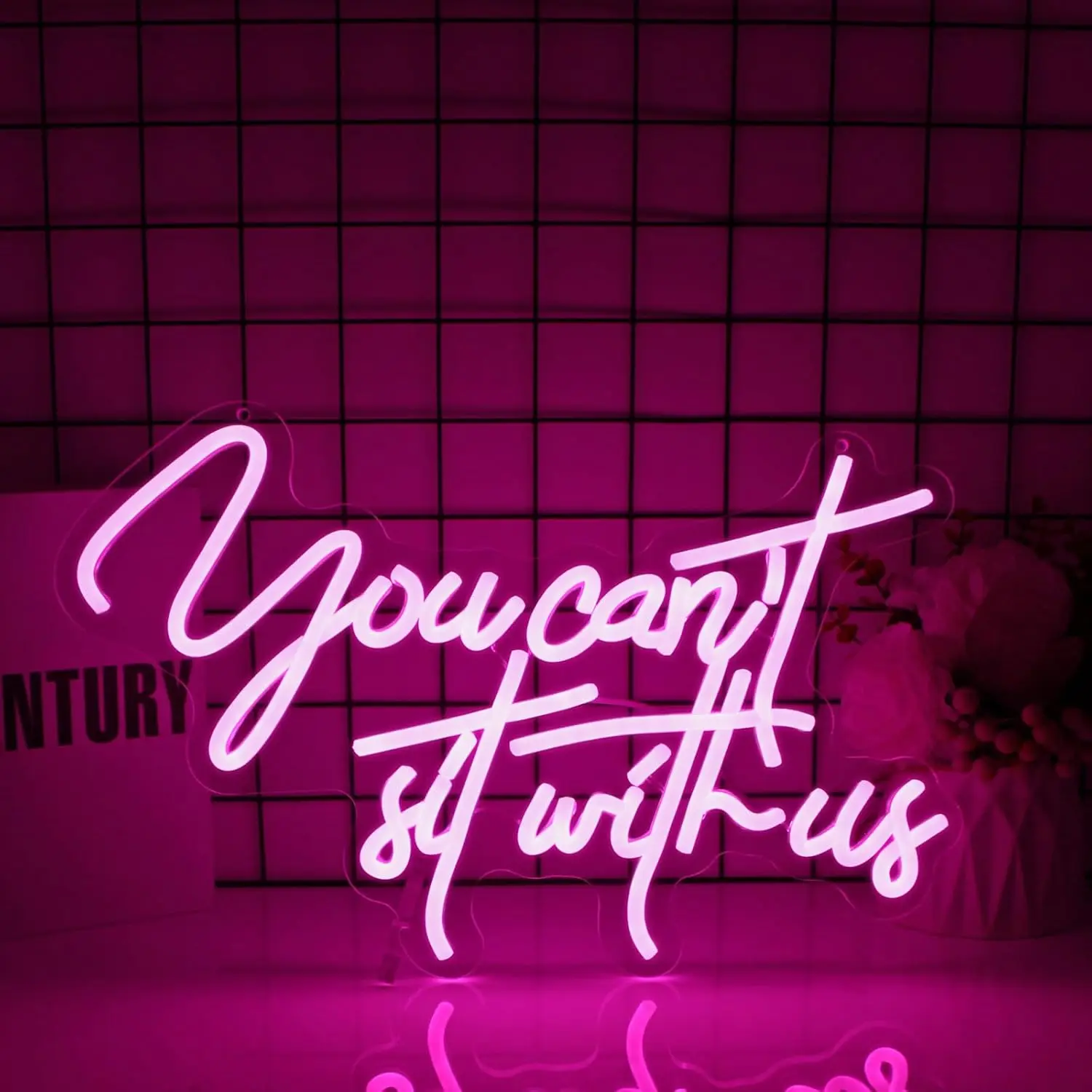

You Can't Sit With Us Neon Sign for Wall Decor 5/12V USB Power Pink with Dimmable Switch for Bar Party Club Decor Led Light