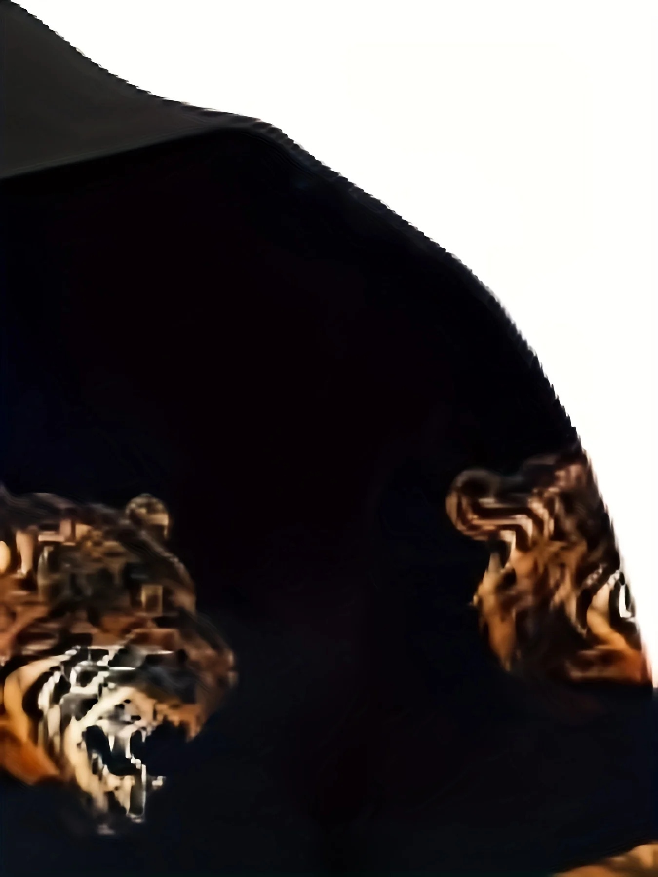 Fashion Fall Tigers Men Hoodies White Tiger Skin 3D All over Printed Mens Sweatshirt Unisex Long Sleeve Pullover Casual Jacket